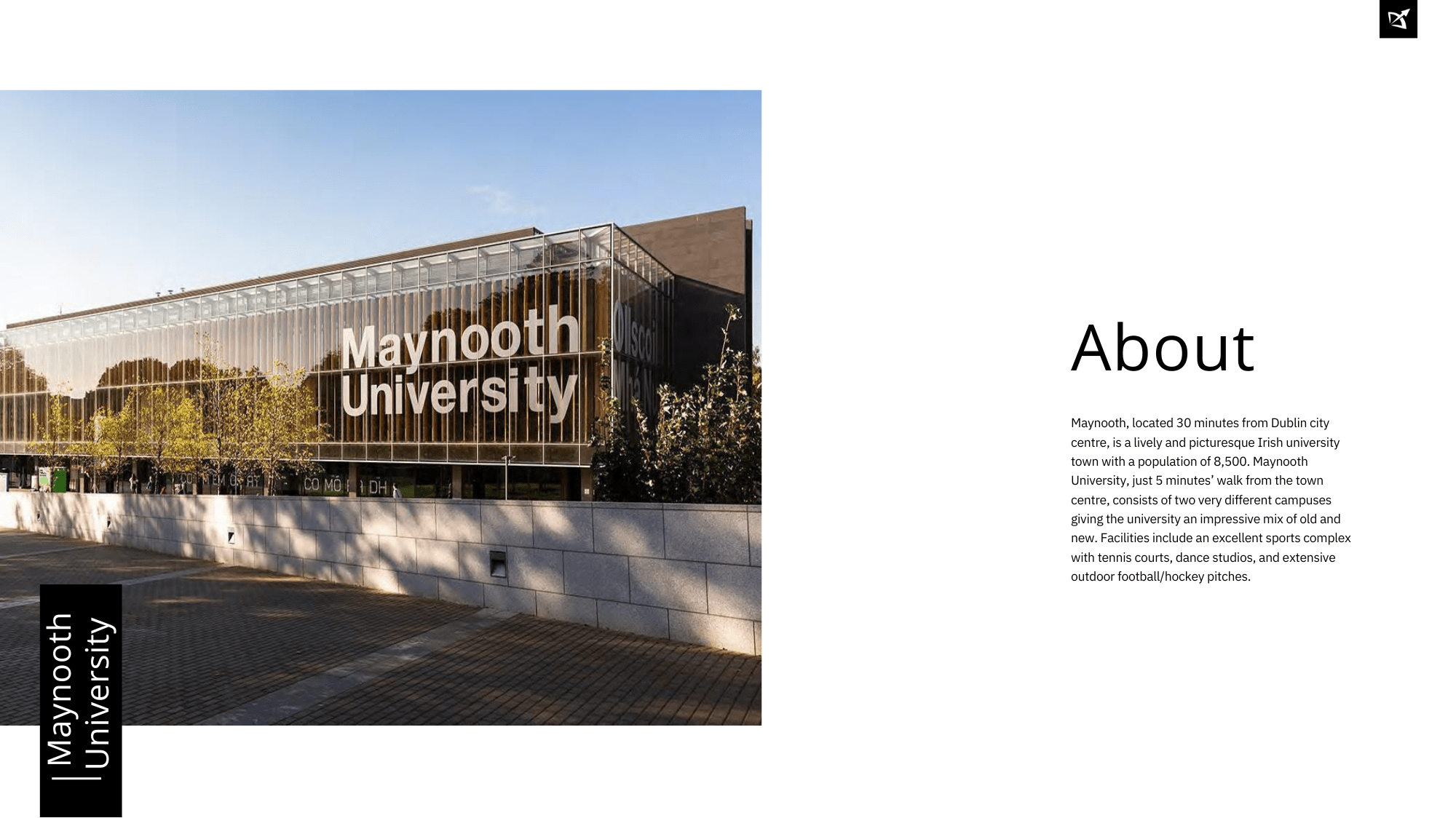 Maynooth University Summer Programmes Brochure 2024.pdf